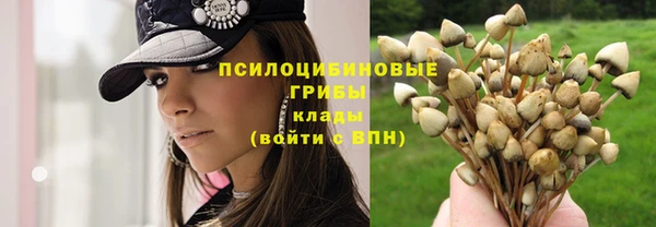 прущие грибы Остров