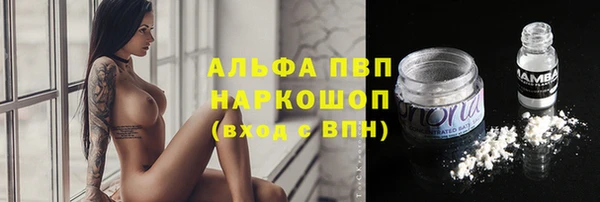 прущие грибы Остров
