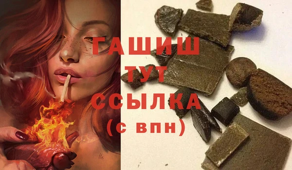 spice Инта