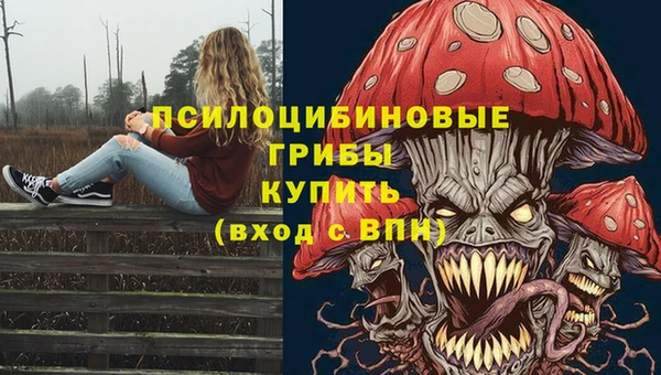 mdma Осташков