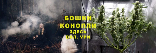 прущие грибы Остров