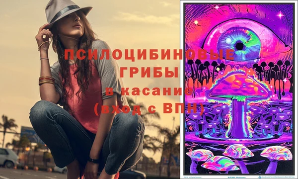 прущие грибы Нягань