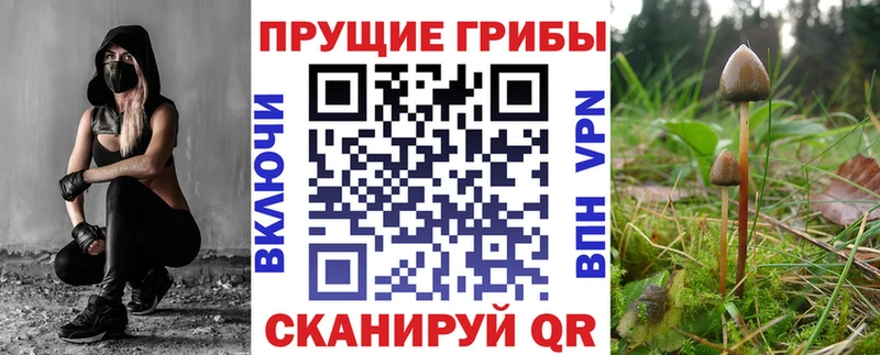 Псилоцибиновые грибы MAGIC MUSHROOMS  Нижний Ломов 